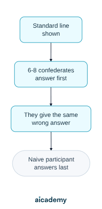 Flowchart of Asch's baseline procedure: the standard line is shown, six to eight confederates answer first, they all give the same wrong answer, and the naive participant answers last.