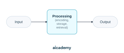 Flowchart of the information processing model: input from the senses passes into processing, which covers encoding, storage and retrieval, and this produces an output in the form of behaviour.