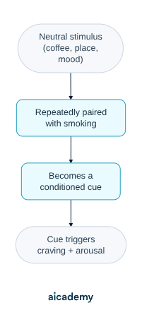 Flowchart of cue reactivity: a neutral stimulus such as coffee, a place or a mood is repeatedly paired with smoking, becomes a conditioned cue, and then triggers craving and arousal on its own.