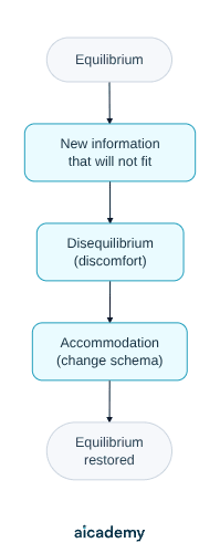Flowchart of equilibration: a child in equilibrium meets new information that will not fit an existing schema, which causes the discomfort of disequilibrium, prompting accommodation to change the schema and restore equilibrium.