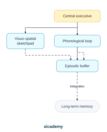 Structure of the working memory model: the central executive directs three slave systems, the phonological loop, the episodic buffer and the visuo-spatial sketchpad, with the buffer integrating the others and linking out to long-term memory.