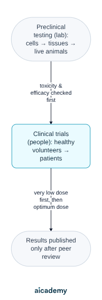 Flowchart of drug testing: preclinical testing in the lab on cells, then tissues, then live animals, with toxicity and efficacy checked before clinical trials on healthy volunteers and then patients, starting at a very low dose, and results published only after peer review.
