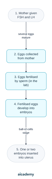 Flowchart of IVF: the mother is given FSH and LH so several eggs mature, the eggs are collected and fertilised by sperm in the laboratory, the fertilised eggs develop into embryos, and one or two are inserted into the uterus.