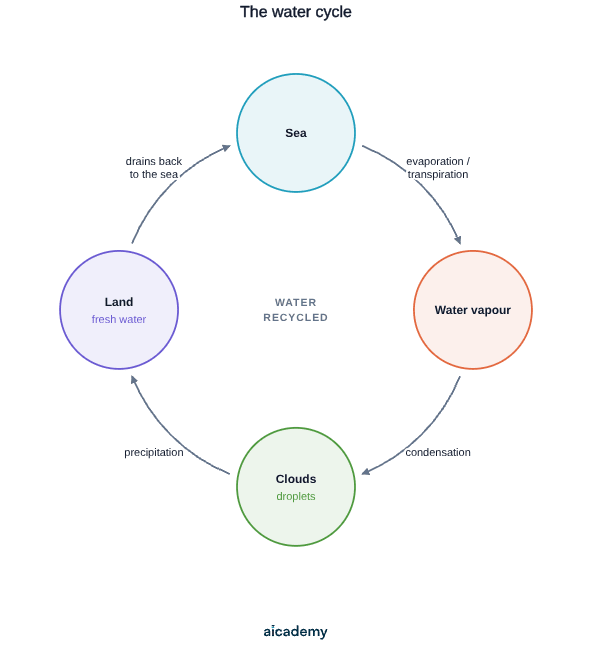 Water moving in a loop: the sea evaporates and plants transpire to form water vapour, the vapour condenses into cloud droplets, precipitation falls as fresh water on land, and that water drains back to the sea.