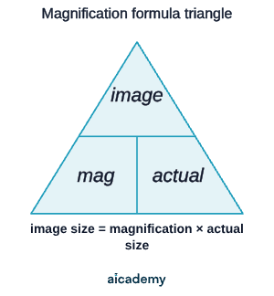 Formula triangle with image size in the top section and magnification and actual size side by side underneath, showing that image size equals magnification multiplied by actual size.