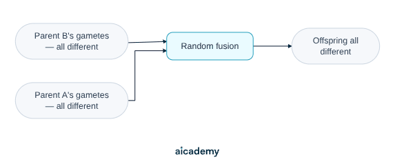 Flowchart of the two sources of variation: parent A and parent B each make gametes that are all genetically different, and the random fusion of one gamete from each parent produces offspring that are all different.
