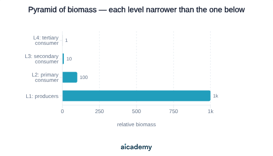 Horizontal bars of relative biomass stacked with producers widest at the bottom at 1000 units, primary consumers 100, secondary consumers 10 and tertiary consumers just 1, so each trophic level is about a tenth of the one below.