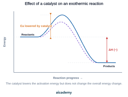 Reaction profile for an exothermic reaction: products lie below reactants, and the catalysed pathway has a lower activation energy hump than the uncatalysed one, with the overall energy change unchanged.