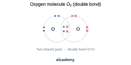Dot-and-cross diagram of two oxygen atoms, each bringing 6 outer electrons and sharing two pairs to form an O=O double bond, so both atoms reach a full outer shell of 8.