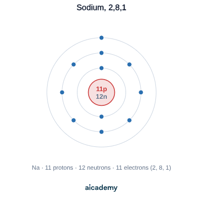 Sodium atom with 11 protons and 12 neutrons in the nucleus and its 11 electrons filling three shells as 2, 8 and 1, leaving one electron alone on the outer shell.