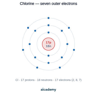 Chlorine atom with 17 protons and 18 neutrons in the nucleus and electrons arranged 2, 8 and 7, showing an outer shell one electron short of full.