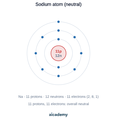 Model of a neutral sodium atom: a nucleus of 11 protons and 12 neutrons, surrounded by three electron energy levels holding 2, 8 and 1 electrons, so 11 electrons balance the 11 protons.