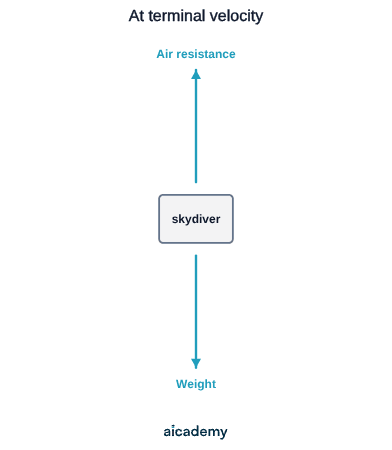 Free body diagram of a skydiver with two equal and opposite arrows: weight acting downwards and air resistance acting upwards, both the same size, so the resultant force is zero.