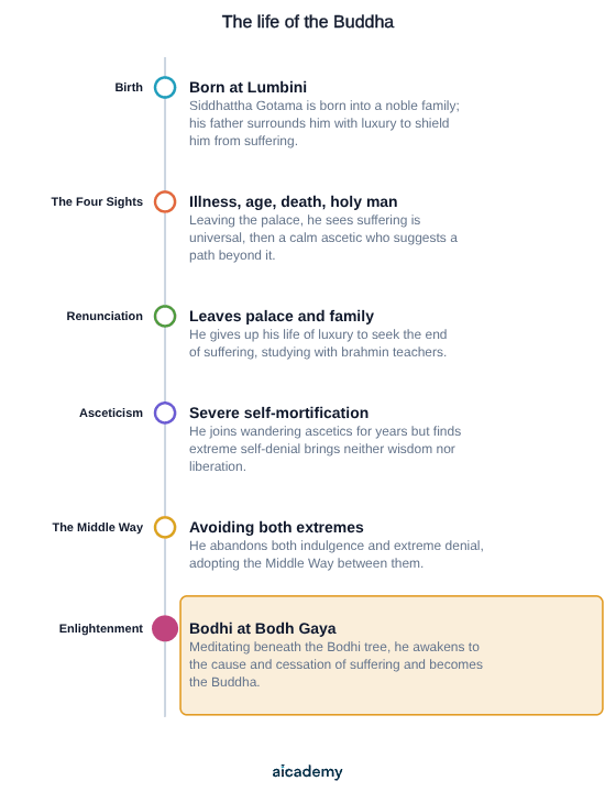 Six stages in order: birth at Lumbini in luxury, the Four Sights of illness, age, death and a holy man, renunciation of palace and family, years of severe asceticism, adopting the Middle Way, and Enlightenment beneath the Bodhi tree at Bodh Gaya.