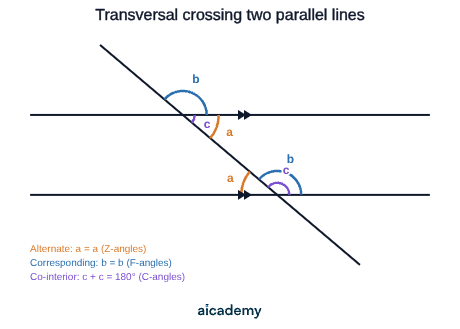 Two parallel lines cut by a transversal, with the three marked angle pairs: alternate angles in a Z-shape (equal), corresponding angles in an F-shape (equal), and co-interior angles in a C-shape (adding to 180 degrees).
