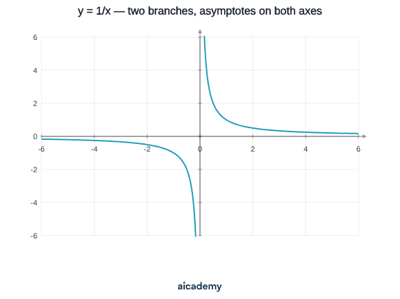 Reciprocal curve with one branch in the first quadrant and one in the third, each falling steeply near the y-axis and flattening towards the x-axis, approaching both axes as asymptotes without ever touching them.