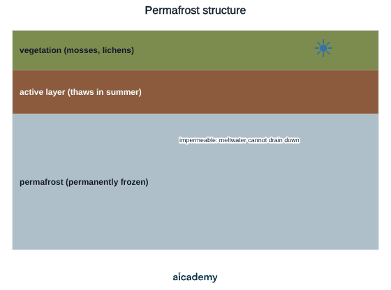 Cross-section through tundra ground: a thin surface layer of mosses and lichens, then the active layer that thaws each summer, resting on permanently frozen permafrost which is impermeable so meltwater cannot drain downward.