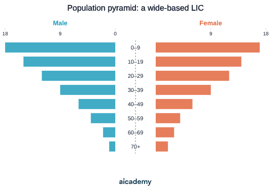 Age-sex pyramid with a very wide base: about 18 per cent of males and 17 per cent of females are aged 0 to 9, and each older band is narrower, tapering to under 2 per cent aged 70 and over.