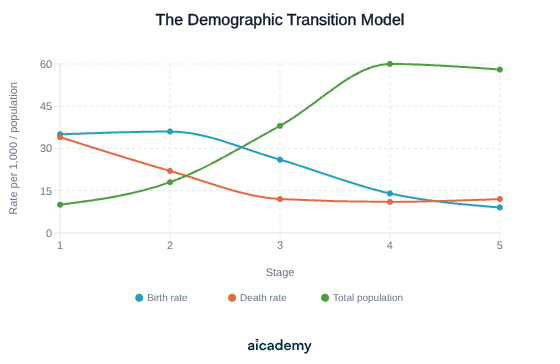 Line graph across the five stages: birth rate and death rate both start near 35 per 1,000, the death rate falls first in Stage 2 so total population rises steeply, the birth rate falls later, and by Stage 5 births drop below deaths and population declines.