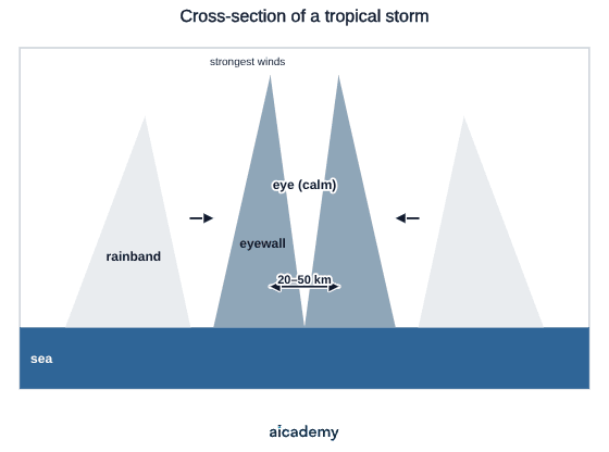Cross-section of a mature tropical storm over the sea: a calm eye 20 to 50 kilometres across at the centre, flanked by the tallest eyewall clouds where the strongest winds blow, with lower spiral rainbands fanning out on either side.