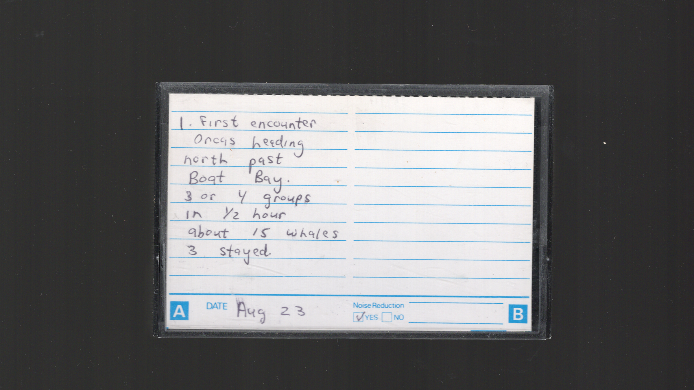 Interspecies Music master tapes