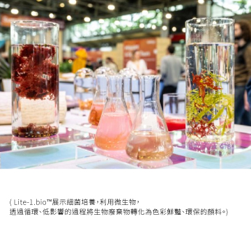 Lite-1.bio 視覺系統