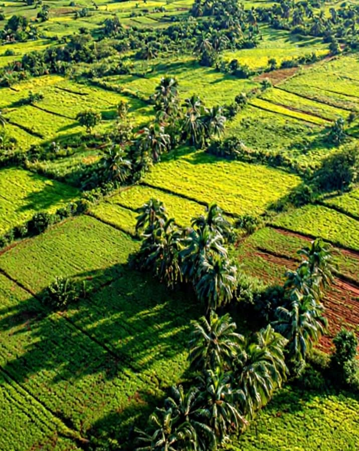 Terrain  agricole