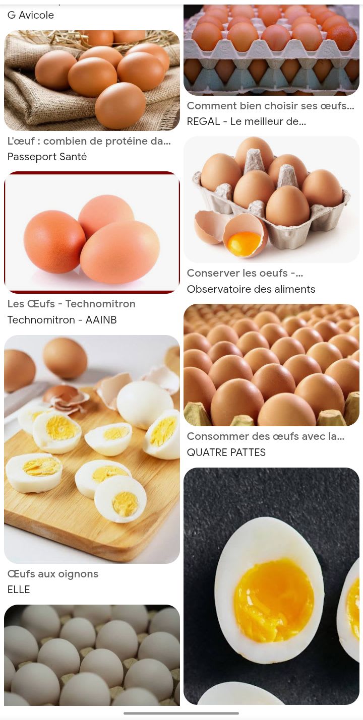 Les oeufs