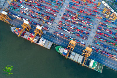 Global Delivery Delays and Their Impact on Plastic Bag Export Businesses