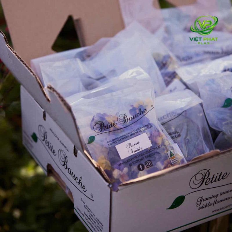 High-quality export packaging helps businesses protect goods and enhance competitiveness in global markets.