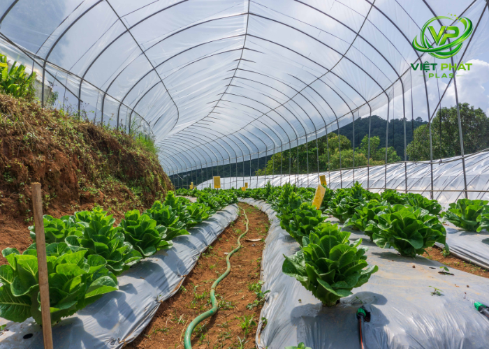 Pallet film types - Agricultural Film