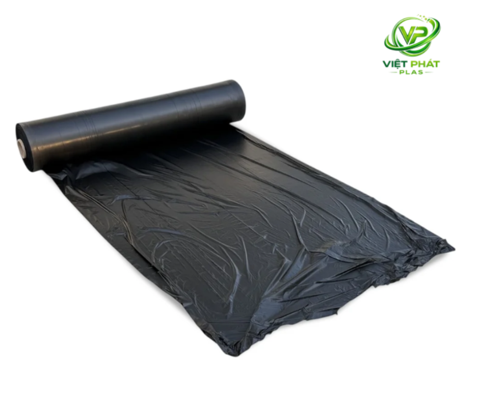 Mulch Film: A Complete Guide for Modern Agriculture