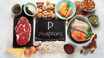 "Dấu vết phosphate” trong tôm/cá đông lạnh: vì sao chỉ đo phospho tổng chưa đủ để kết luận?