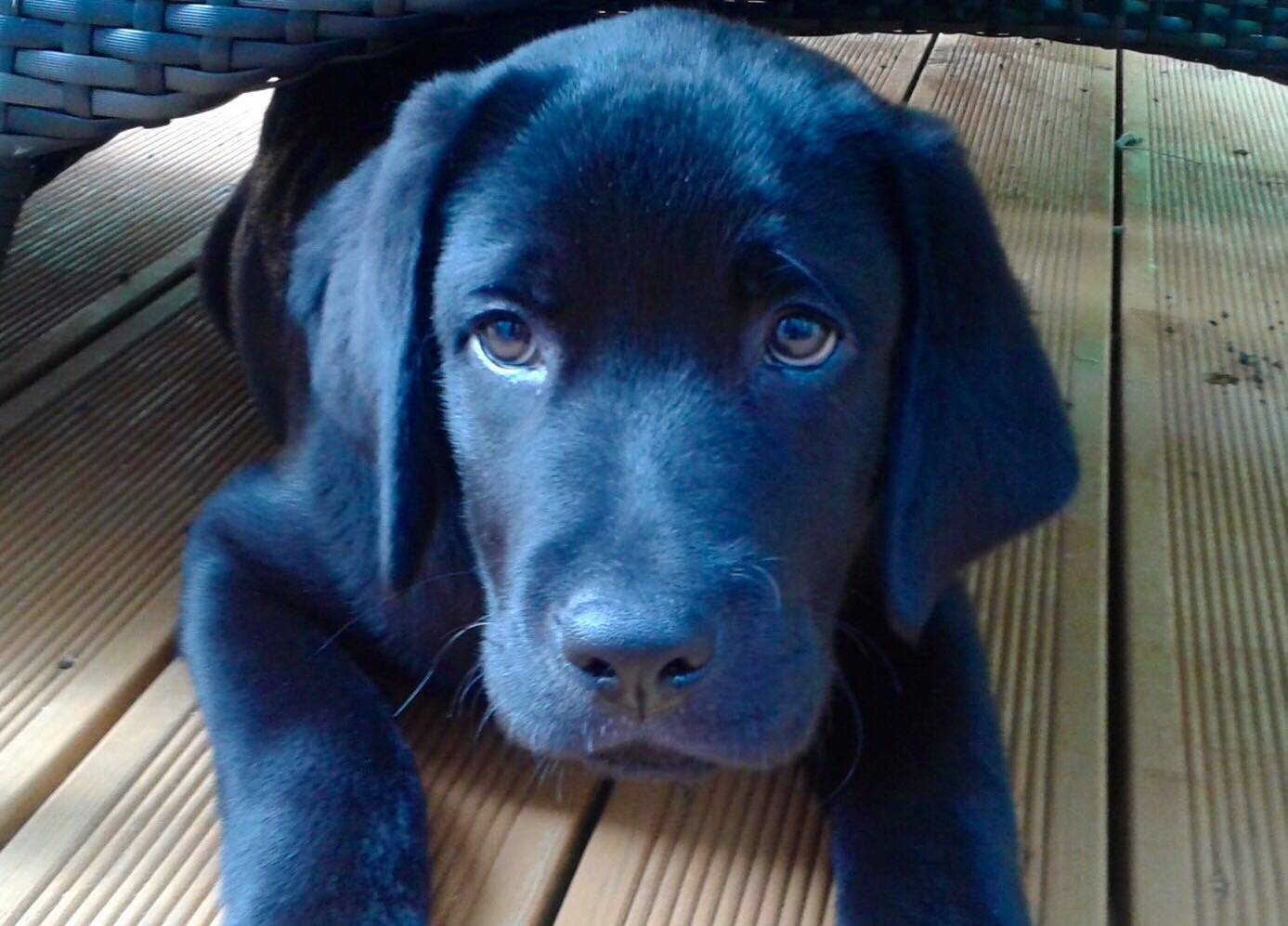 Cgzprygny5nhciufouug