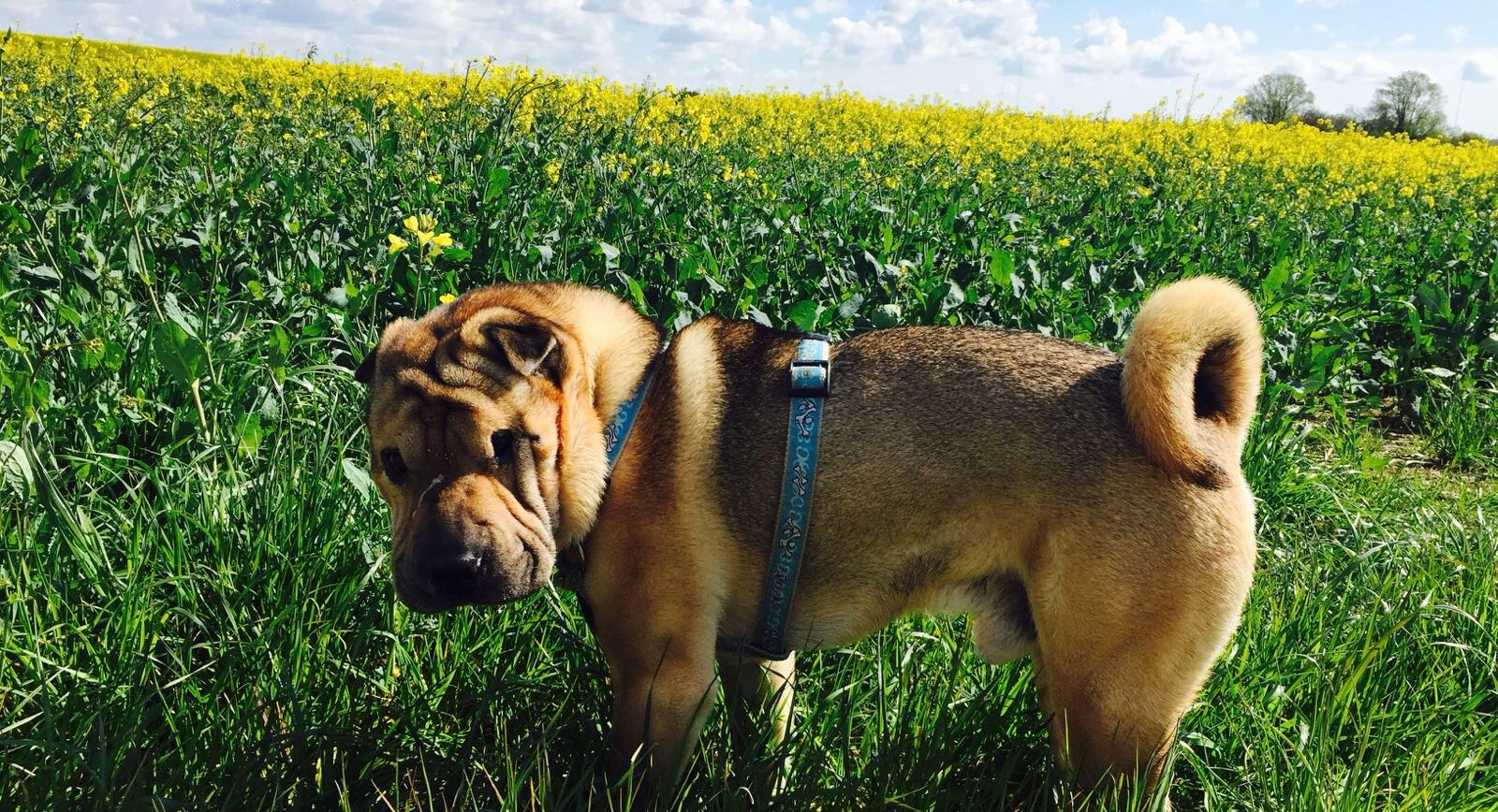 Dl9kf2xnix7zaqeeihqg