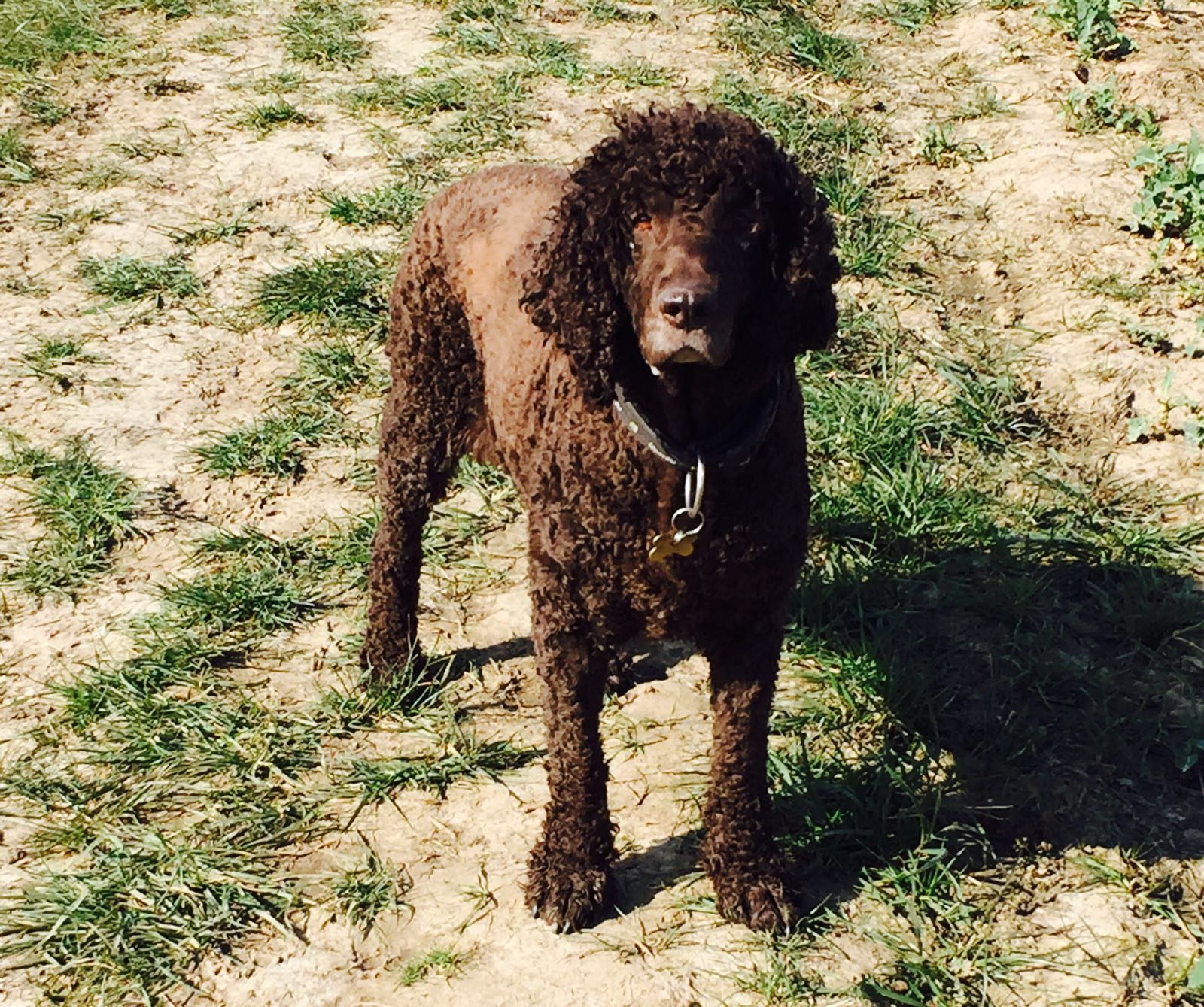 E2jzppbmvjt6w4hvkrxo