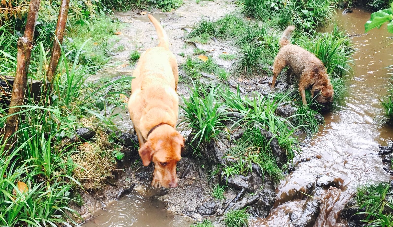 Enkwccsk0ckn5jlfeckt