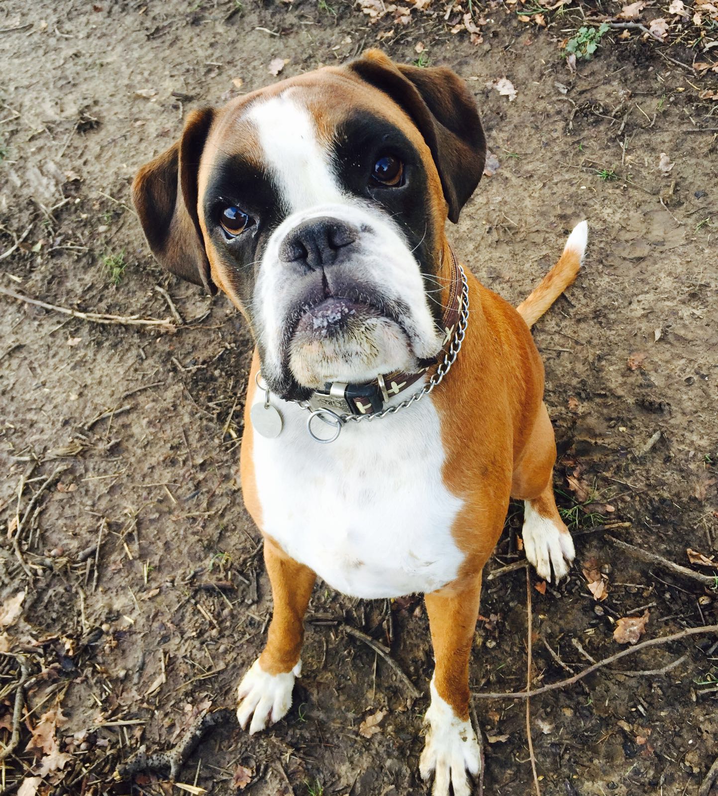 Fc7nwj7vz7ofiz5nh4vr