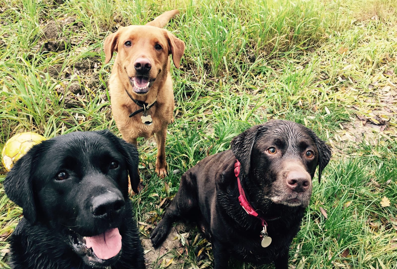 Fg40estmcri1et8bvaus