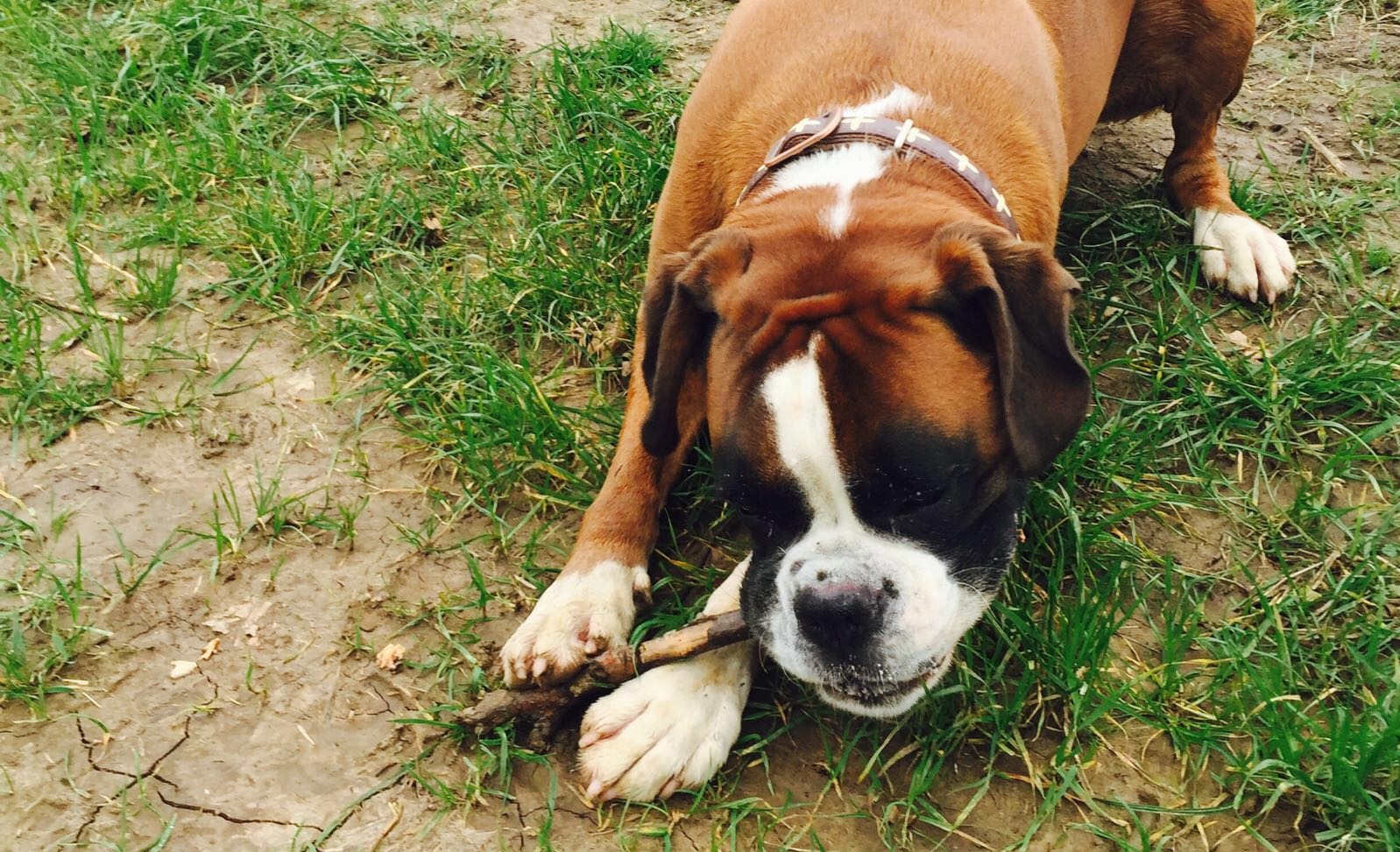 Fiajmn8tujwy1dhrpcbg