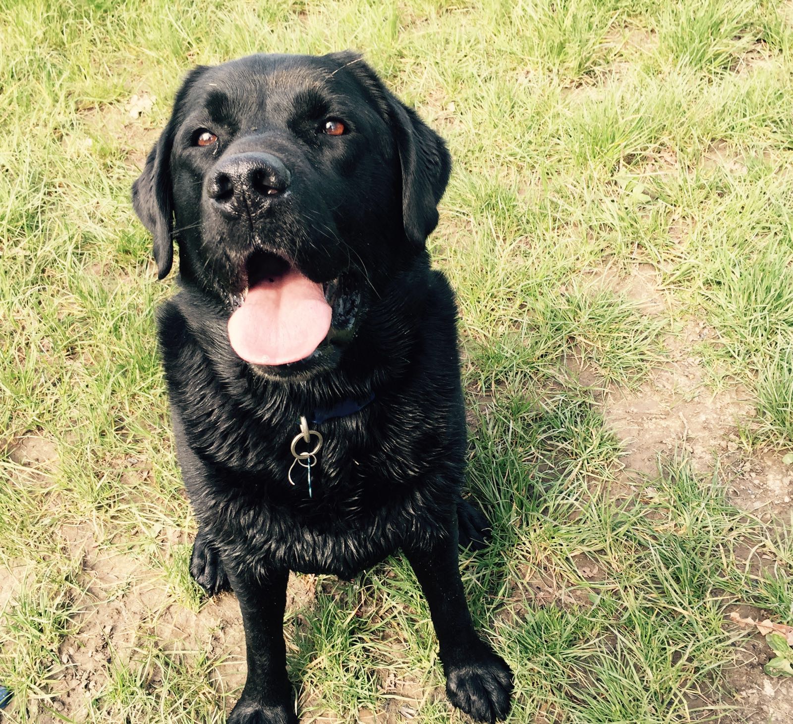 Fr07vcsdfhlpy5stgkfm