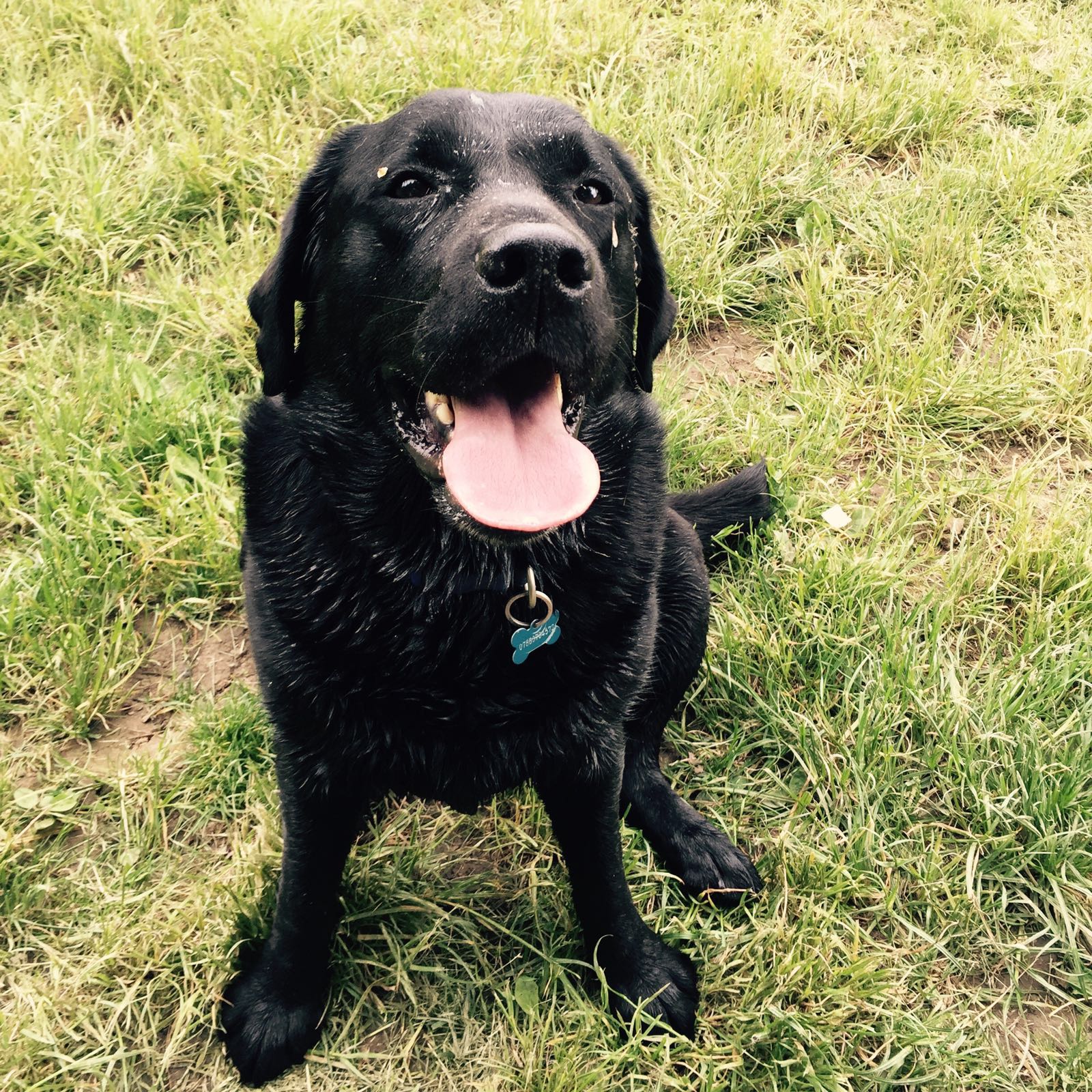 Gj50her0s35c4klrjw0s