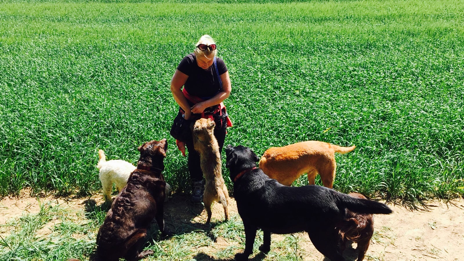 Klbxrwjera83egdavk7h