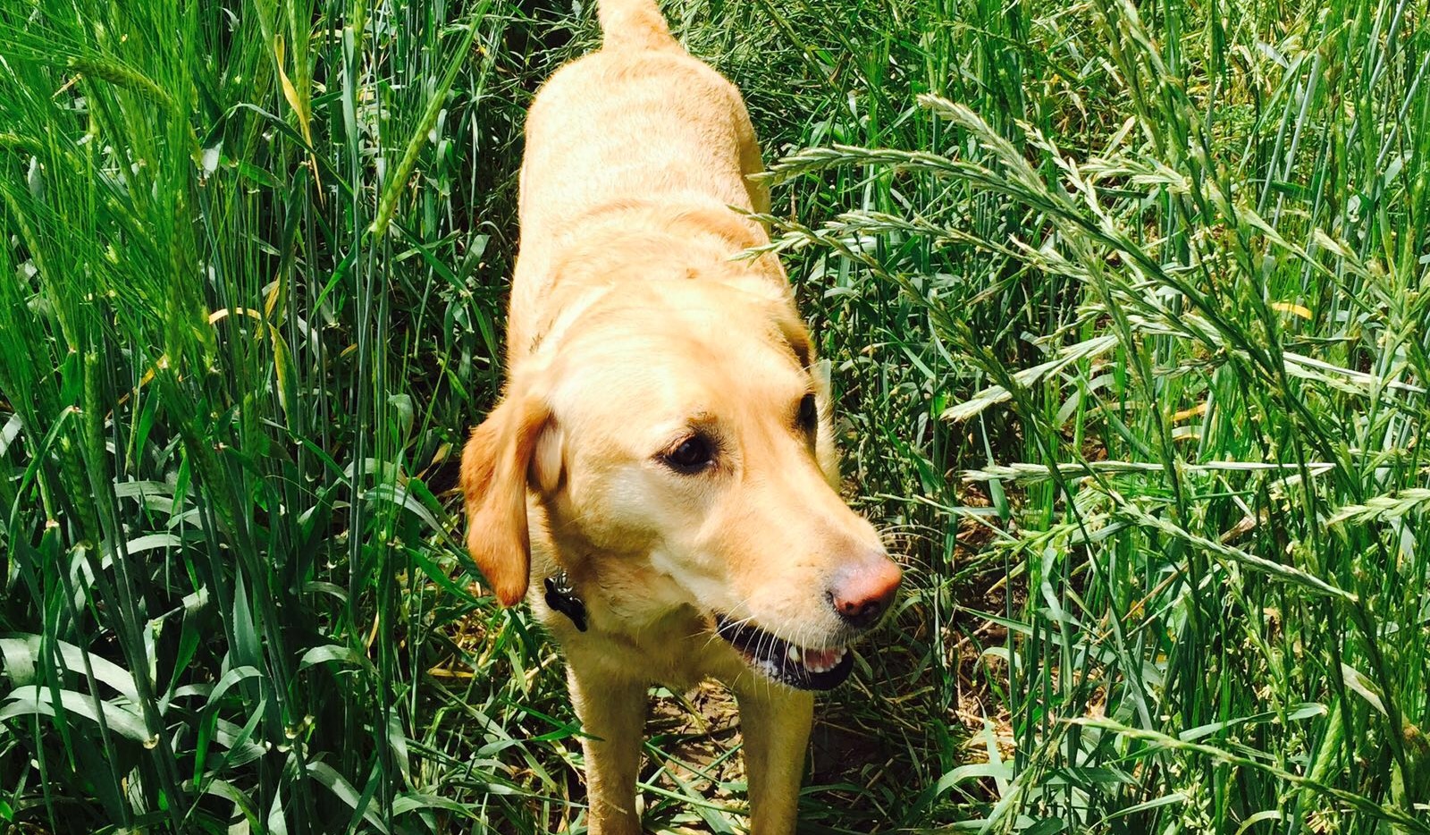 M5vmyhs8lxq43cj4tya9