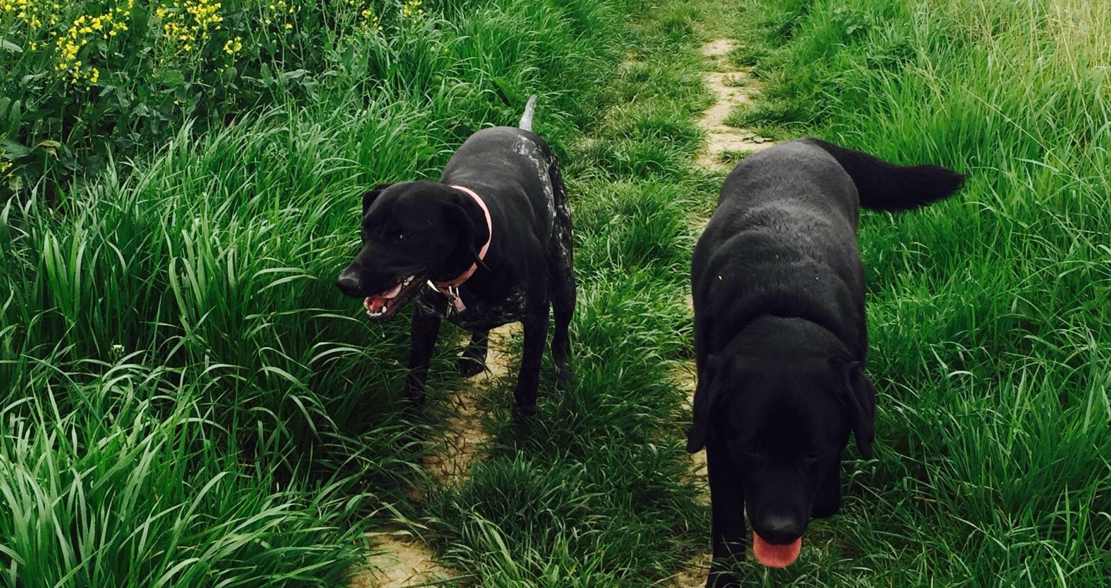 Mq9jsihxa8tm3fm7vwur