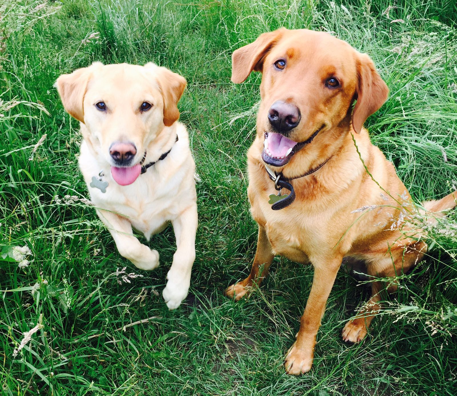 Npahwrfly9bvwdxvbh5k