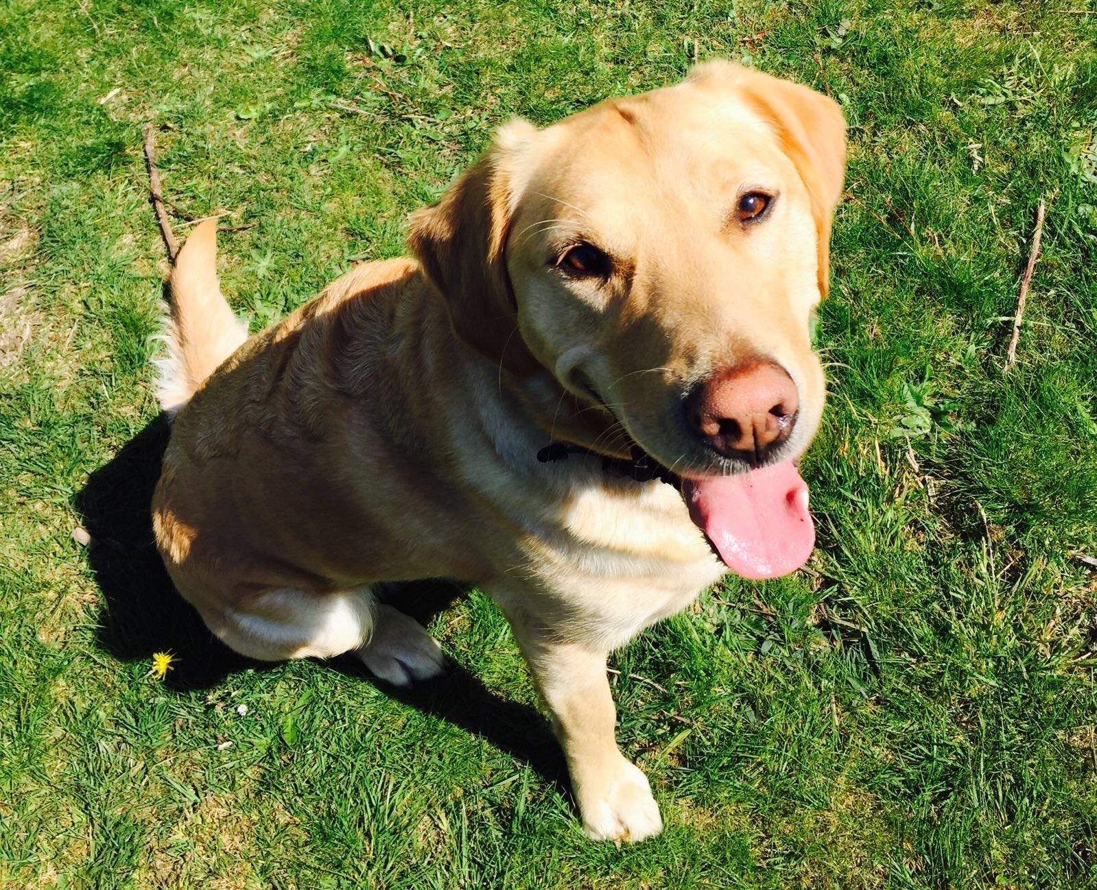 Nxsys4gl9jnotumfpp81