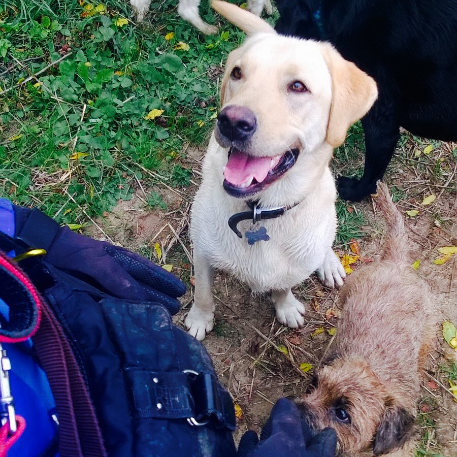 Ou5wpxbjiauw0ndvtdhd