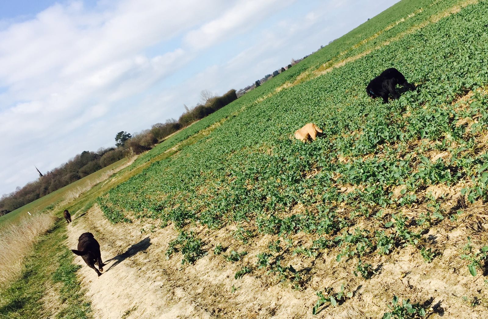 Ownogz6xgysccpenrpex