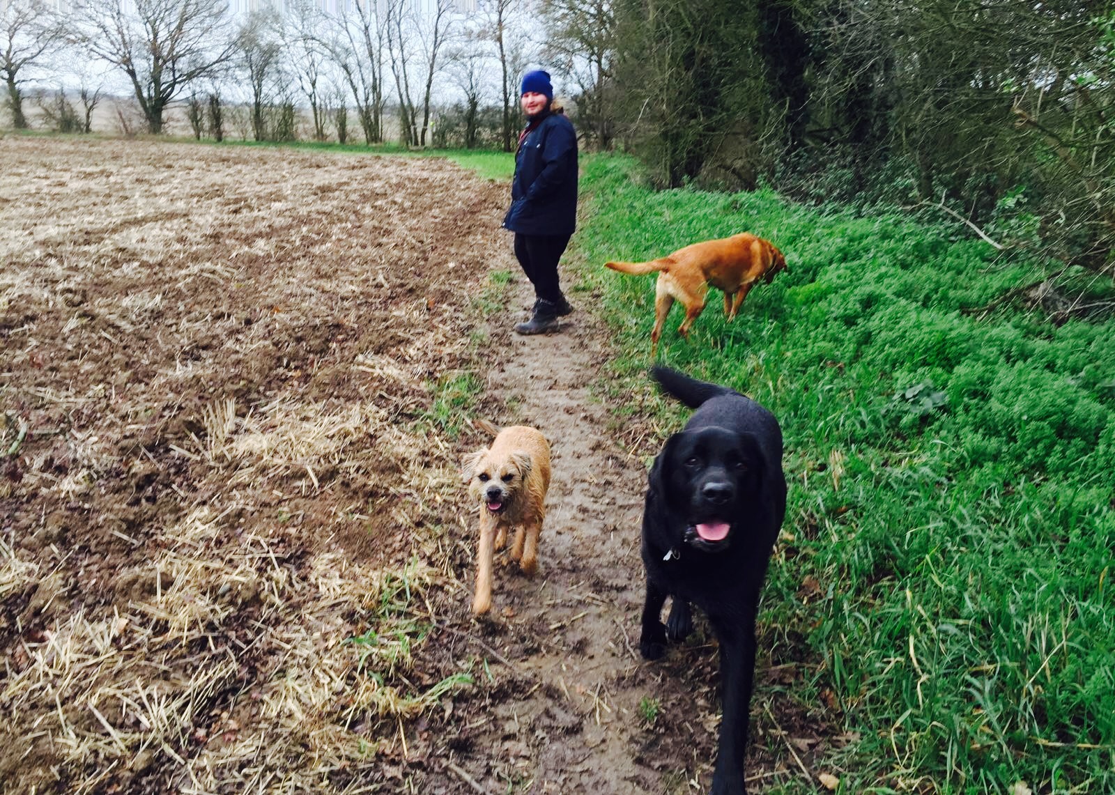 Q38oe3cgmk4typhr1rgp